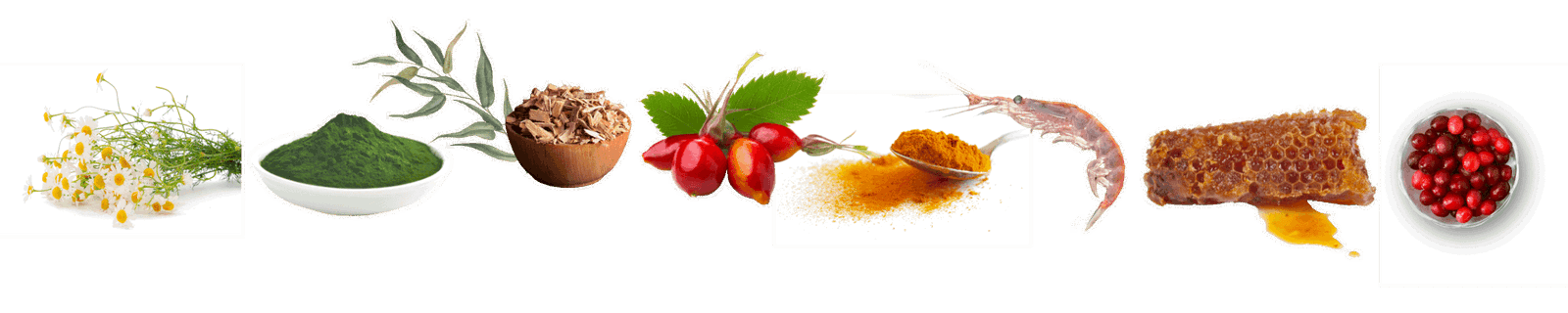 balanced immunity kamille, chlorella, wilgenbast, rozenbottel, curcuma, krill, propolis, cranberry