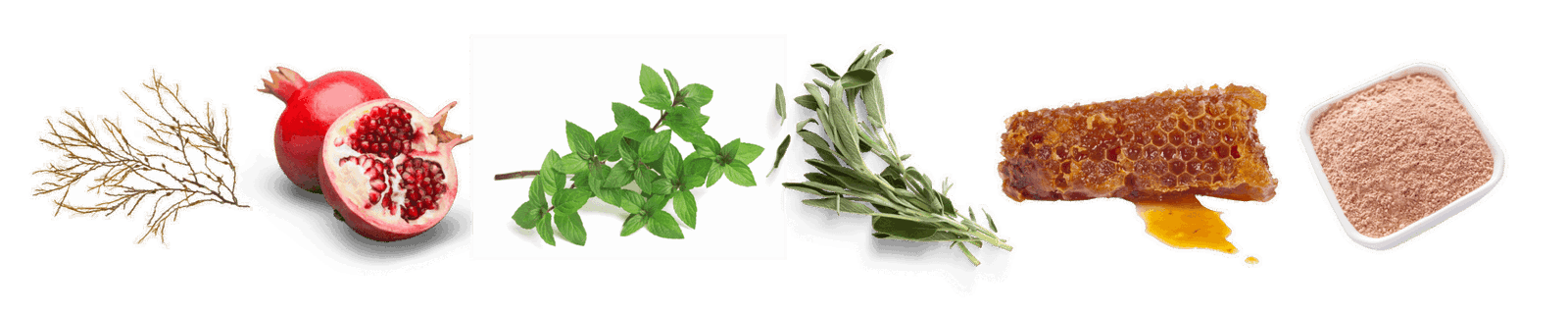 ingrediënten van dental health knotswier, granaatappel, munt, salie, propolis, bentoniet