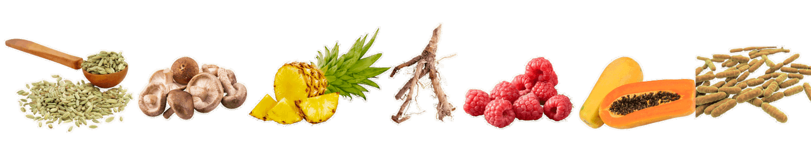 gut biotics venkelzaad, shiitake, ananas, chichorei, framboos, papaja, L. acidophylus, E.faecium, B. subtilis,