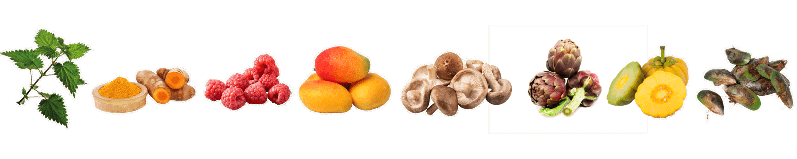 brandnetel, curcuma, frambos, mango, shiitake, artisjok, garcinia cambodia, groenlipmossel