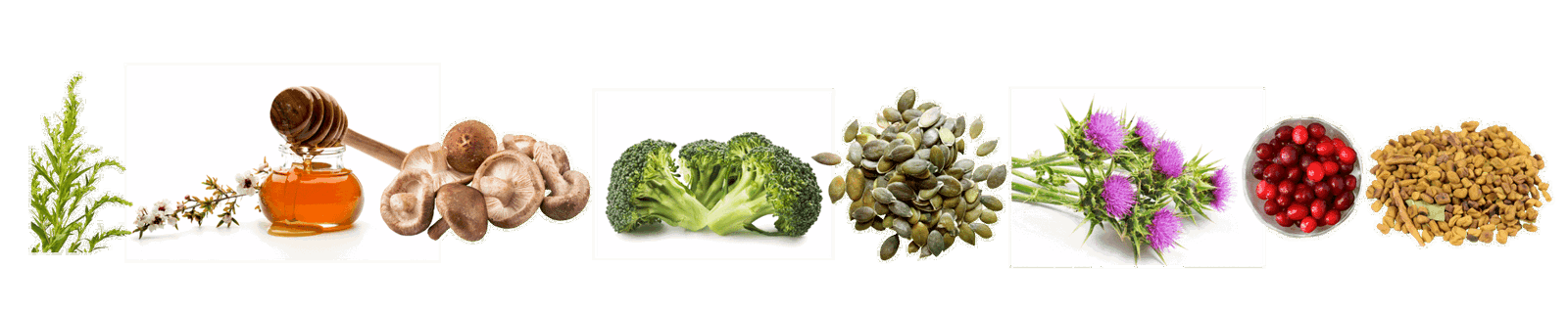 wormkruid, manukahoning, shiitake, broccoli, pompoenzaden, mariadistel, cranberry, fenegriek