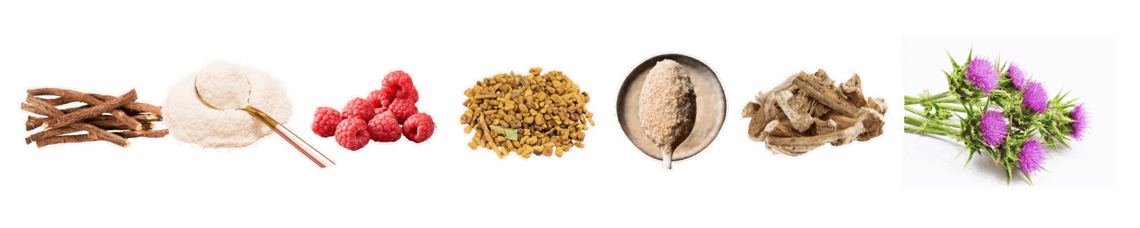 strong barriers oethout, glutamine, Framboos, fenegriek, psyllium, marshmallow root/heemst , mariadistel