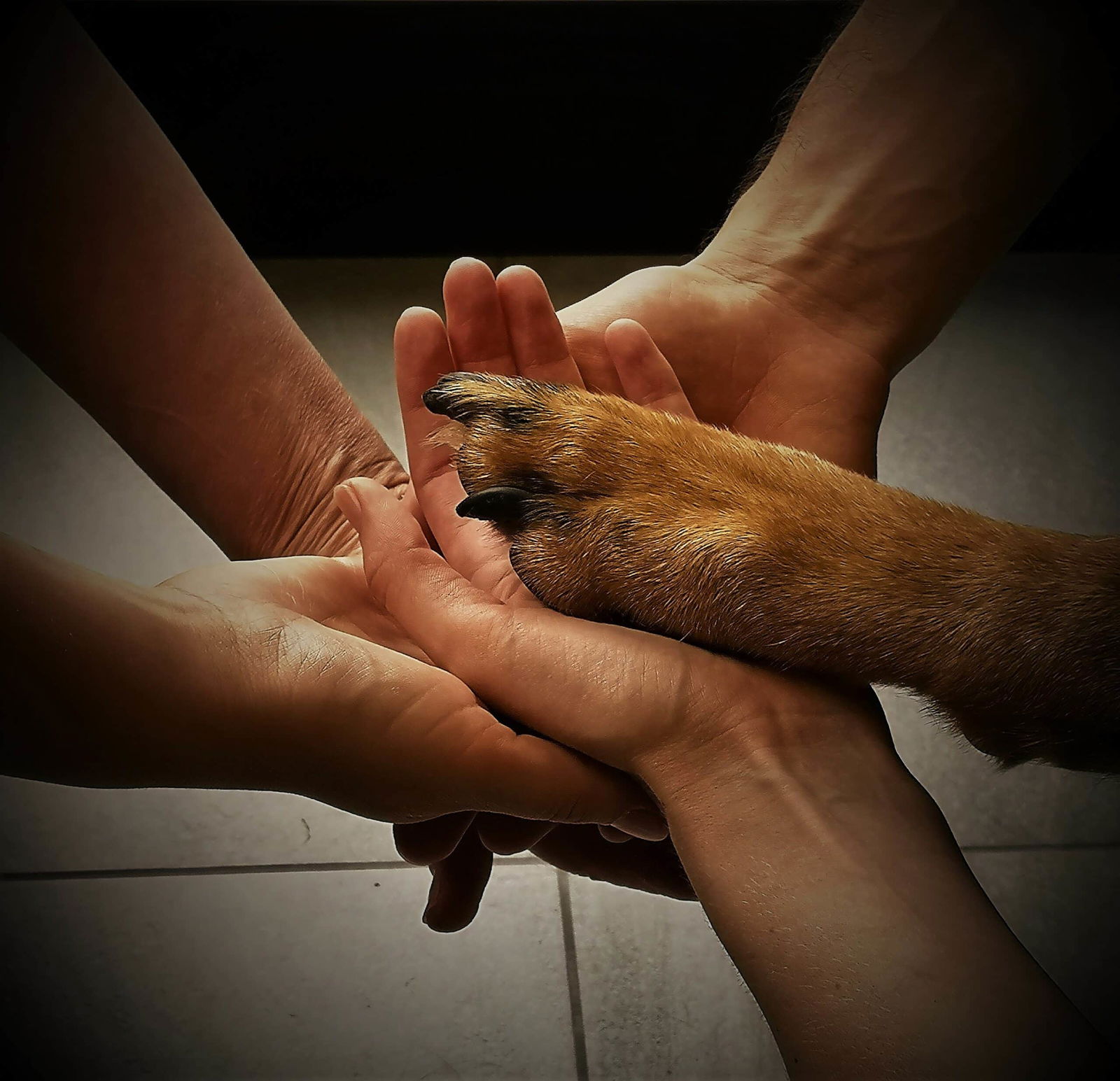 IMG_20210710_144736 1