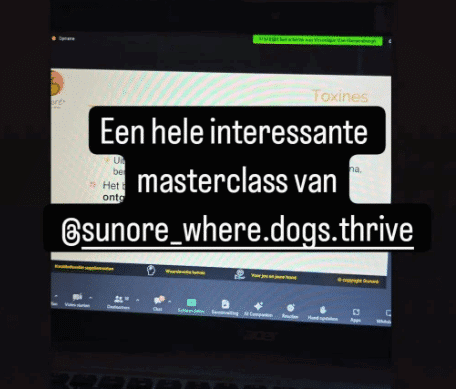 Schermafbeelding 2025-01-06 203213