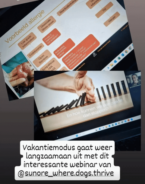 Schermafbeelding 2025-01-06 203237