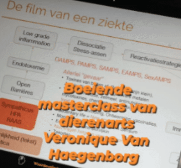 Schermafbeelding 2025-01-06 204128