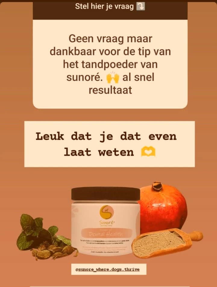 Afbeelding van WhatsApp op 2025-02-04 om 13.05.37_15bf089e