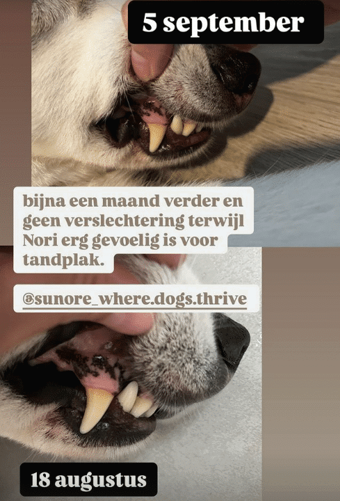 Schermafbeelding 2024-09-05 2054111