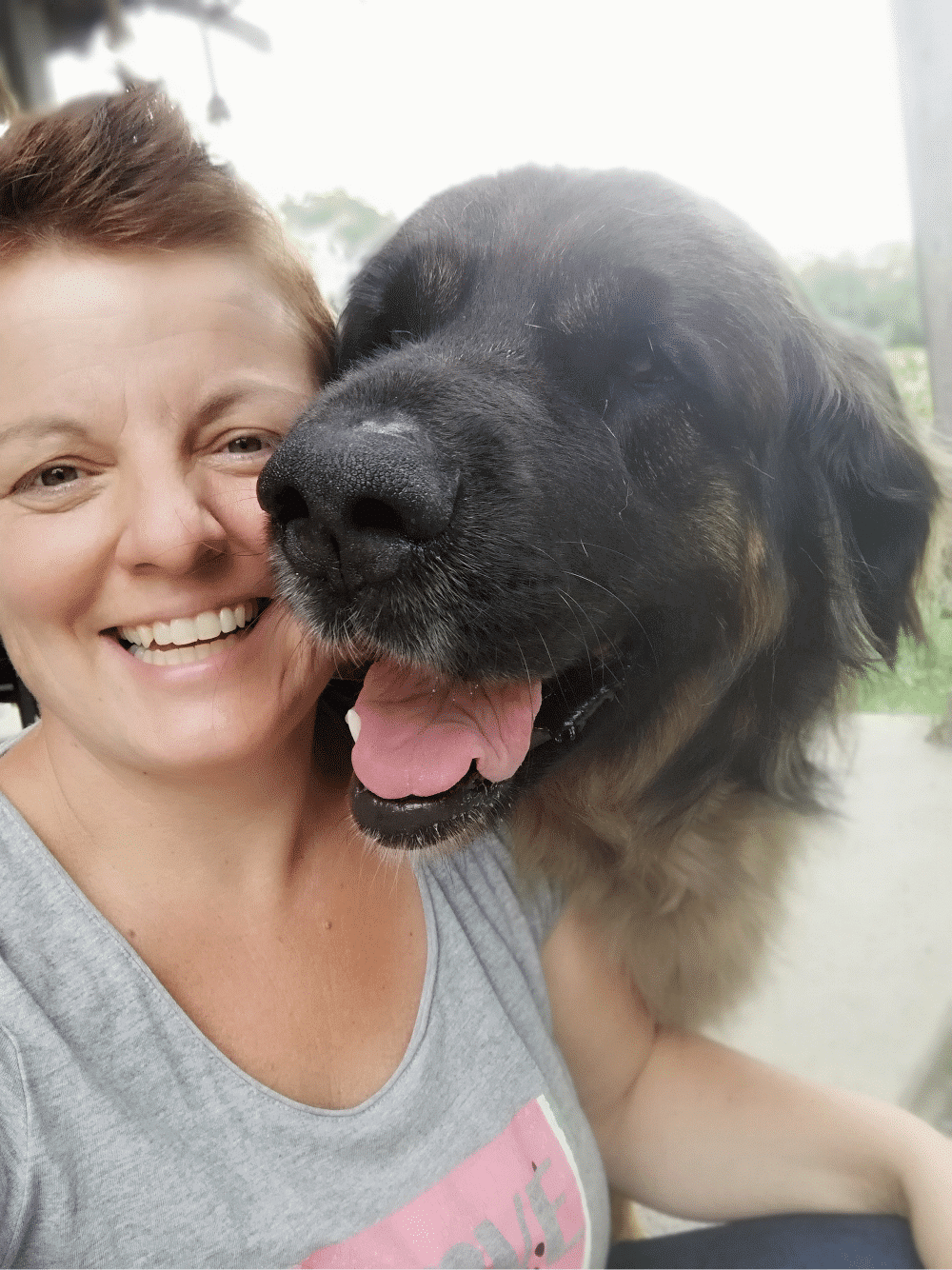 Food & Dogs – Miranda Kelders