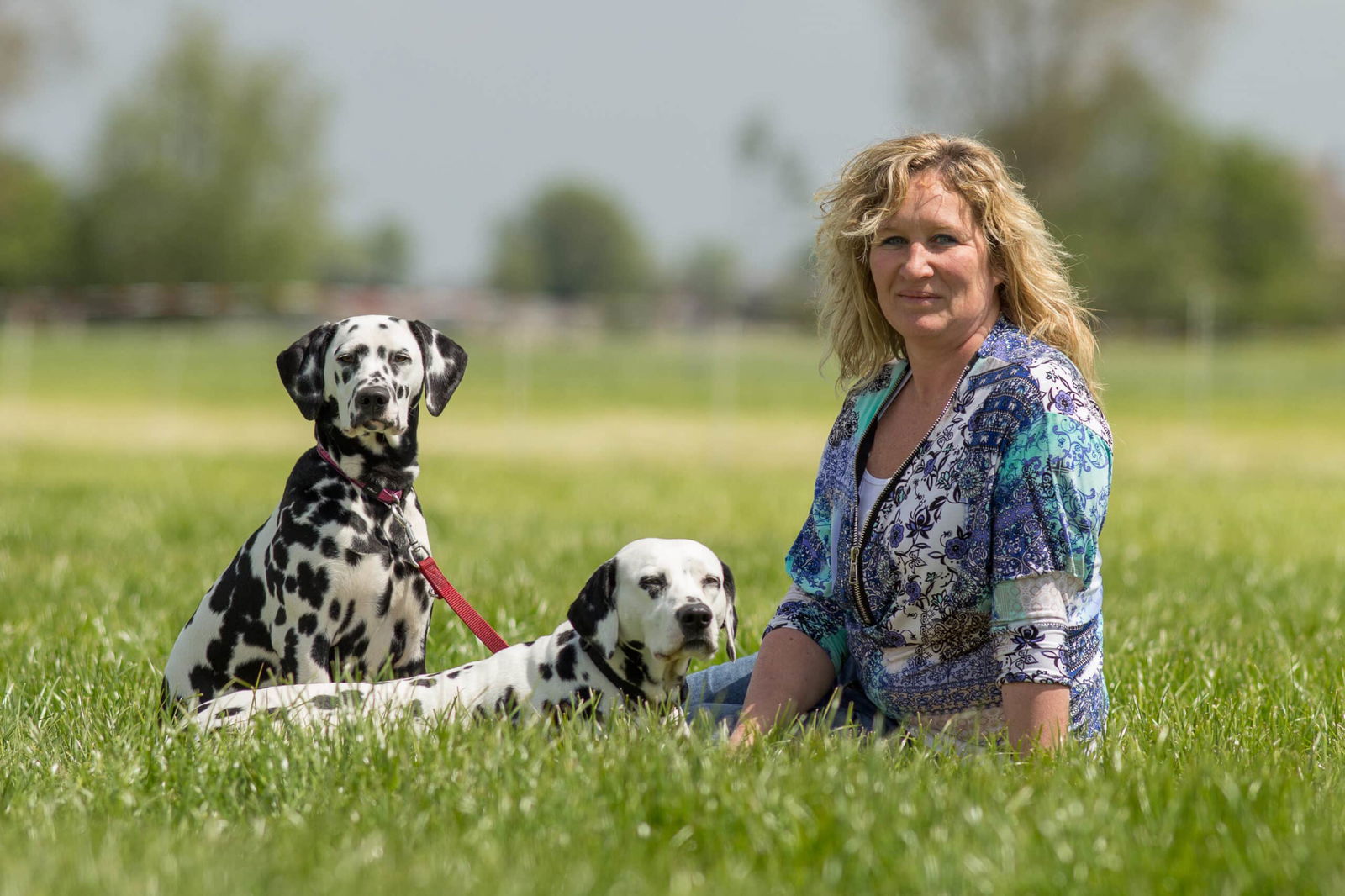 Joke Sauerbreij Advies voor je hond