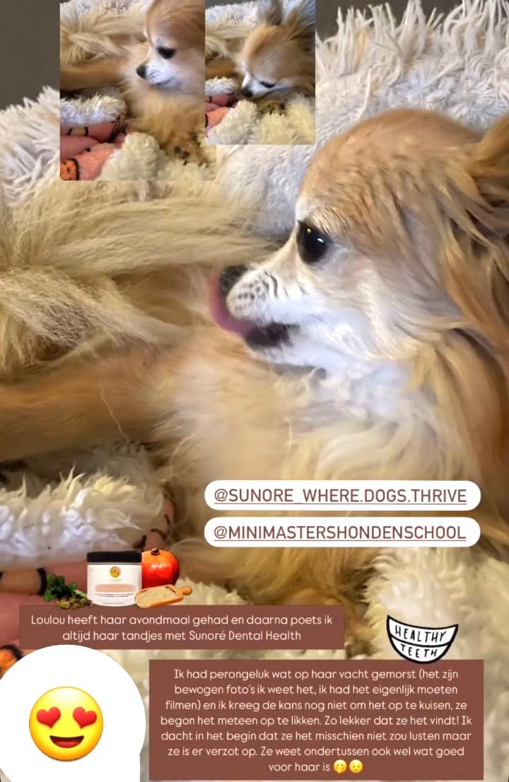 Review Loulou - lekker en tandpoeder