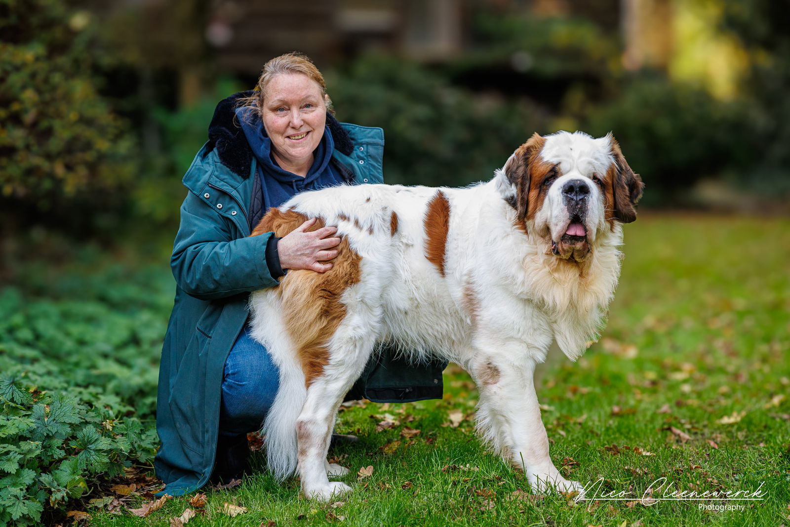 Annemarie Timmermans - VZW Helping Dogs