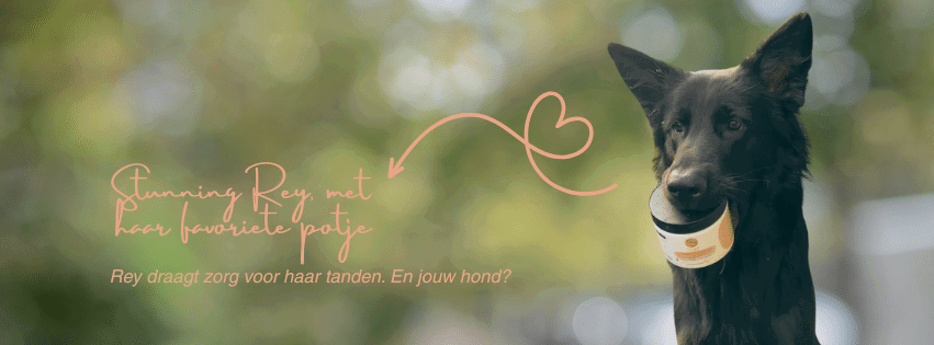 Kwaliteitsvolle supplementen een waardevolle kennis, voor jou en jouw hond (3)