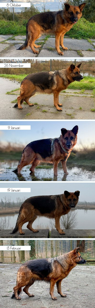 Maiteh_CayaZijAanzicht (1)