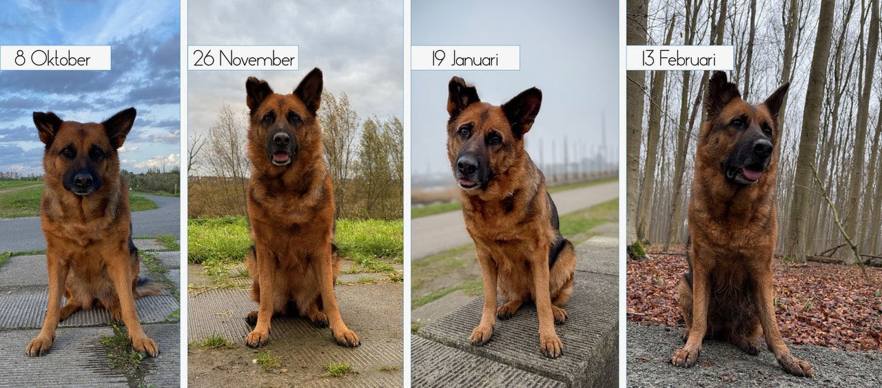 Maiteh_Caya_VoorAanzichtZittend