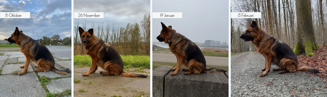 Maiteh_Caya_ZijAanzichtZittend