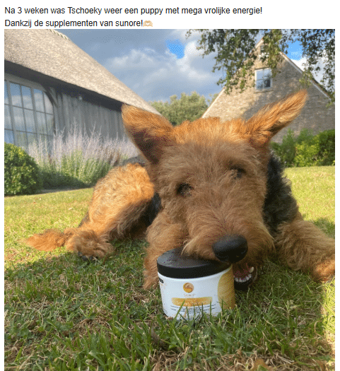 Schermafbeelding 2025-06-30 124520