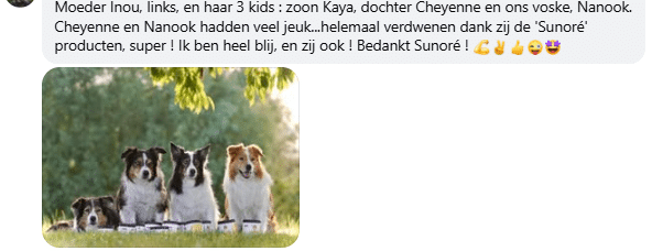 Schermafbeelding 2025-06-30 125507