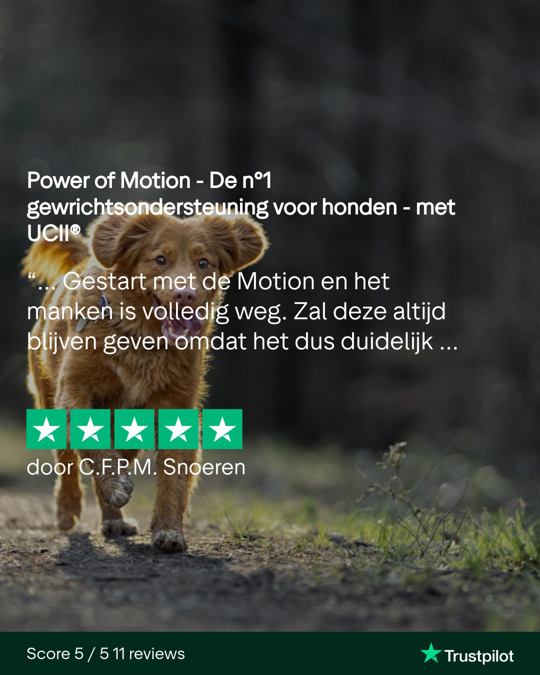 Power of Motion - De n°1 gewrichtsondersteuning voor honden - met UCII® - Afbeelding 10