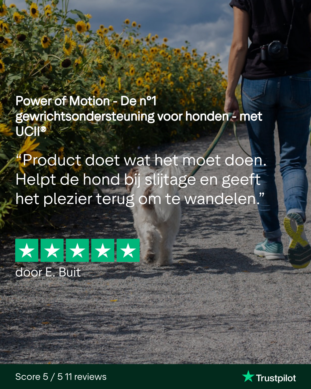 Power of Motion - De n°1 gewrichtsondersteuning voor honden - met UCII® - Afbeelding 11