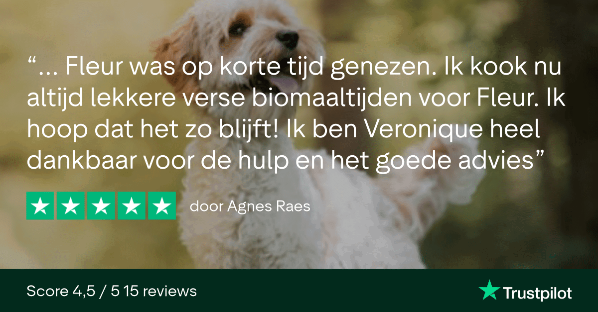 Trustpilot Review - Agnes Raes