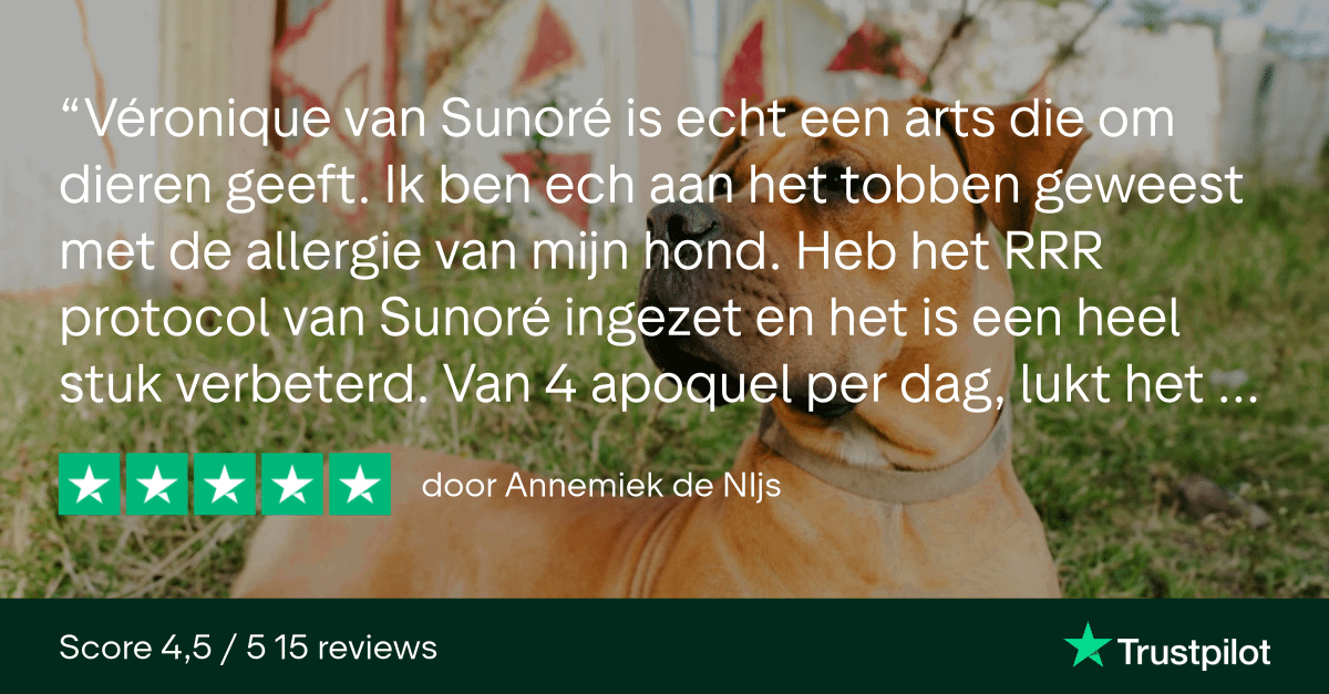 Trustpilot Review - Annemiek de NIjs (1)