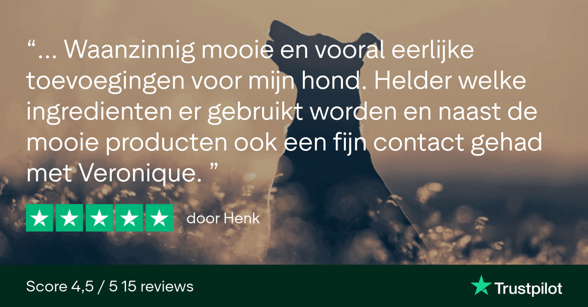 Trustpilot Review - Henk (1)