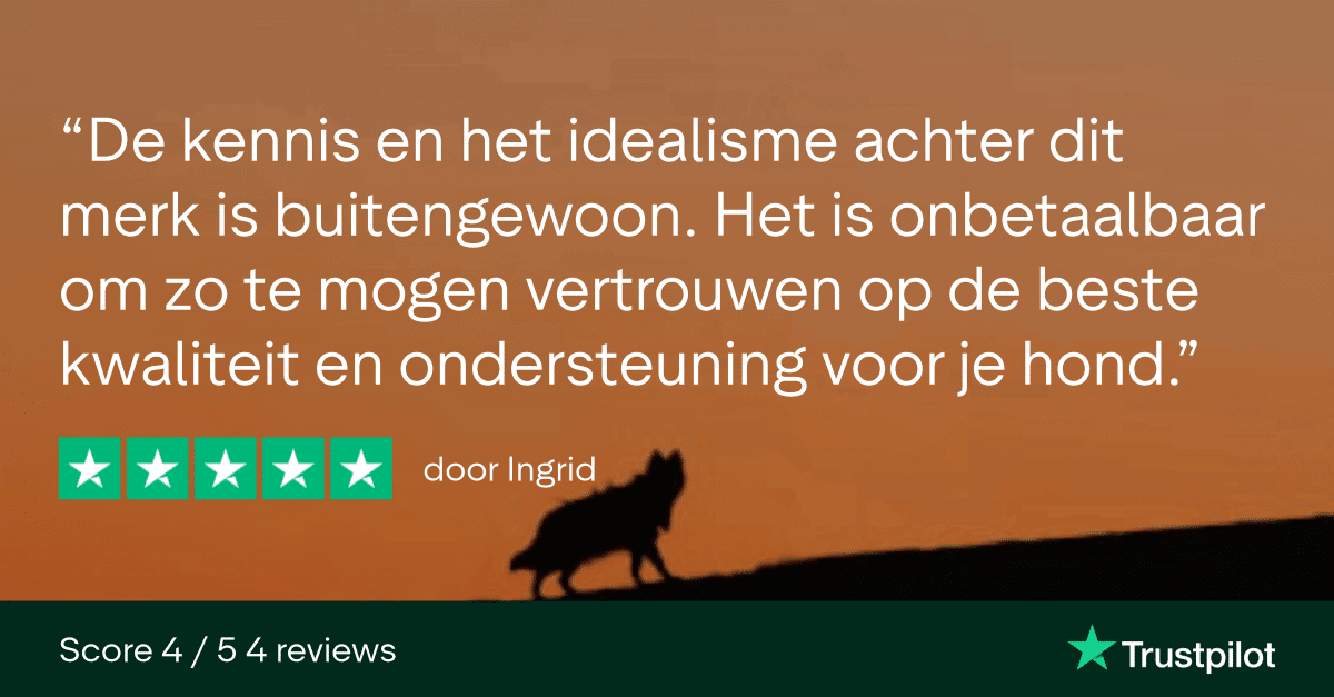 Trustpilot Review - Ingrid (1)
