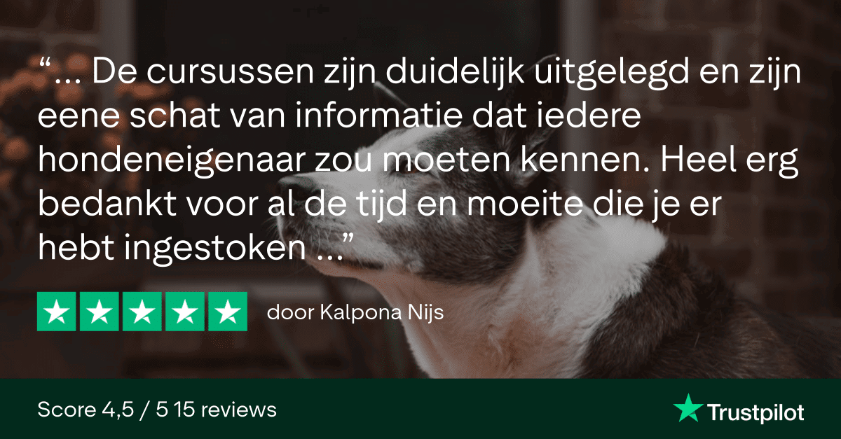 Trustpilot Review - Kalpona Nijs (1)
