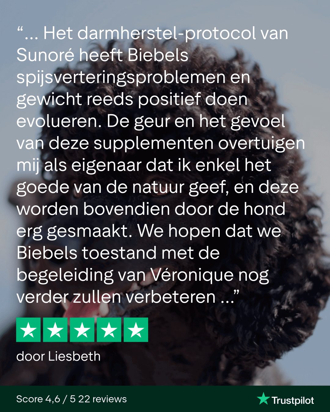 Trustpilot Review - Liesbeth (4)