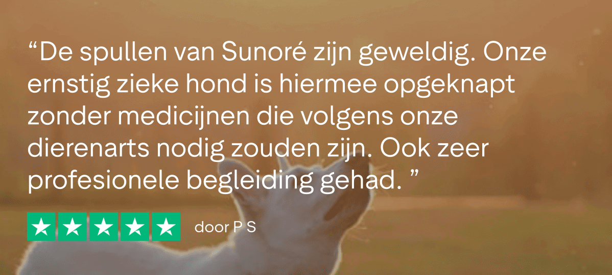 Trustpilot Review - P S