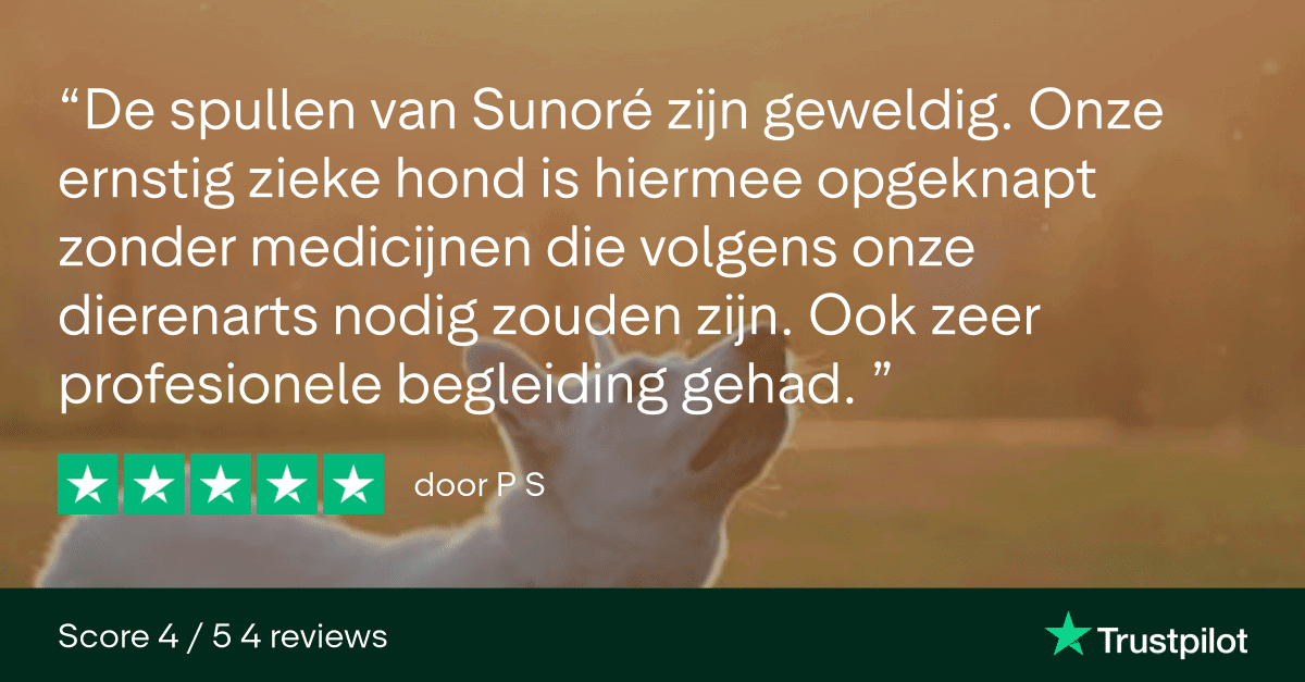 Trustpilot Review - P S