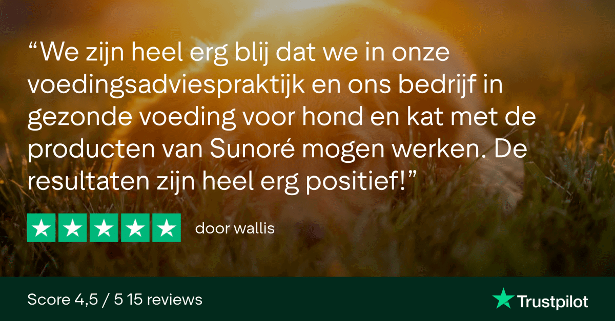 Trustpilot Review - wallis (1)