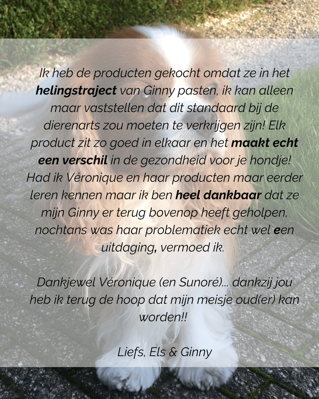 visuals socials 4 op5 (1)