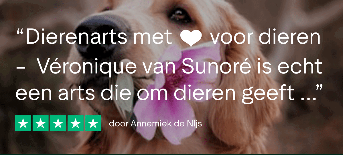 Trustpilot Review - Annemiek de NIjs (2)
