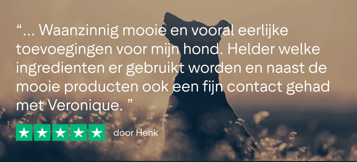 Trustpilot Review - Henk (1)