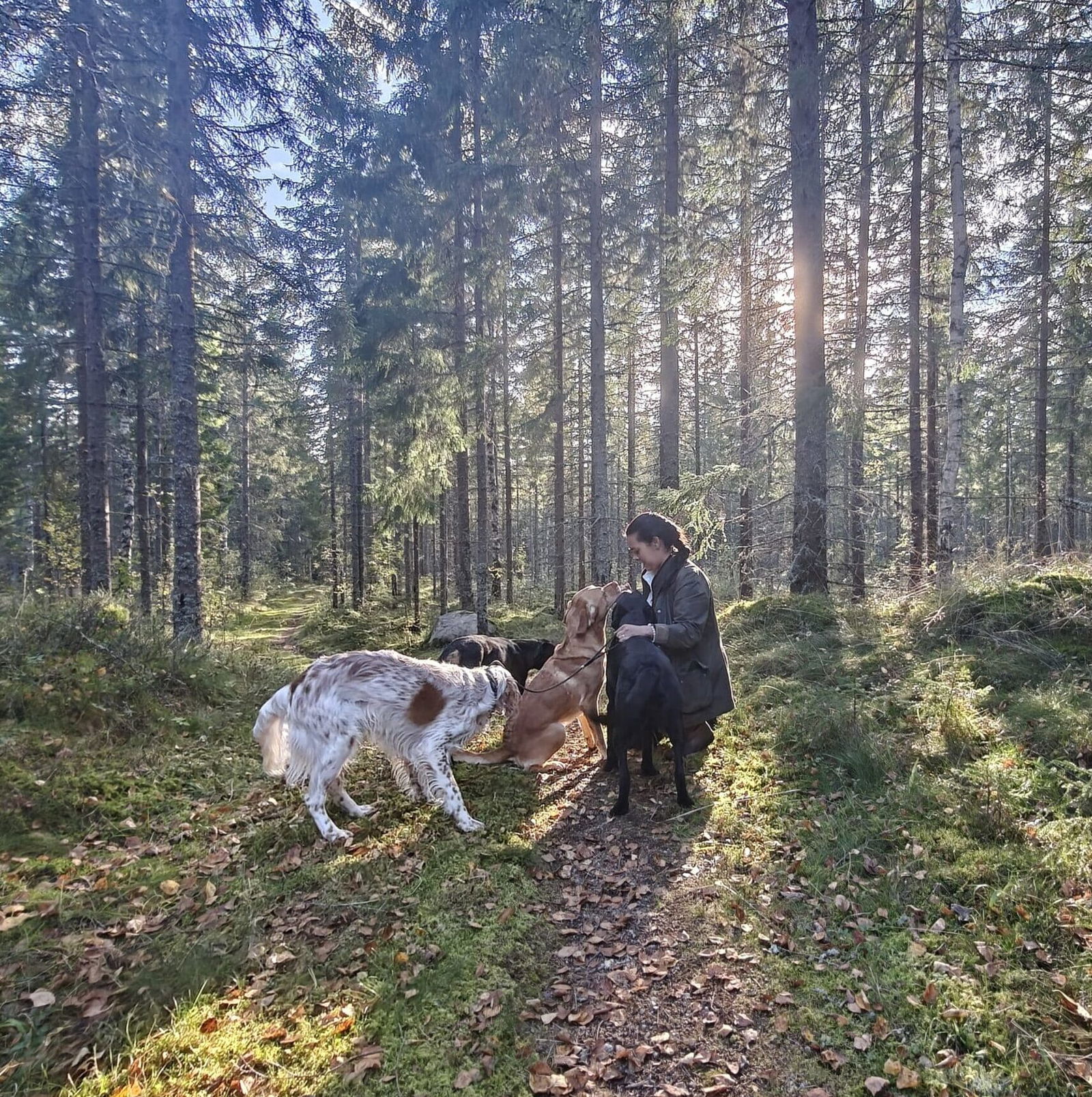 Eva-Roosendaal-Osteopathie-voor-honden-