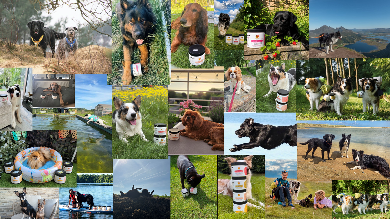 Alle foto's van de fotowedstrijd van Sunoré zomer 2026