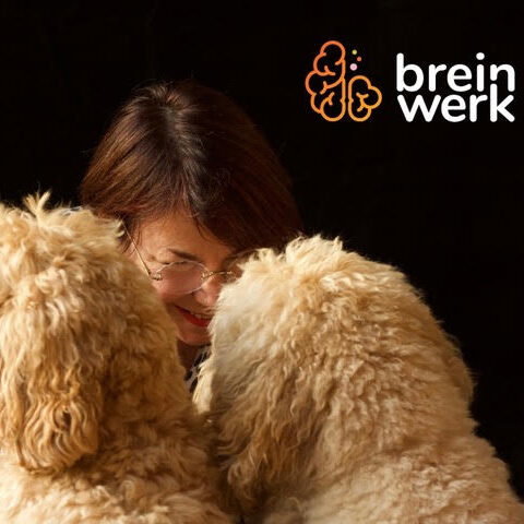 Caroline Nuijts - Breinwerk
