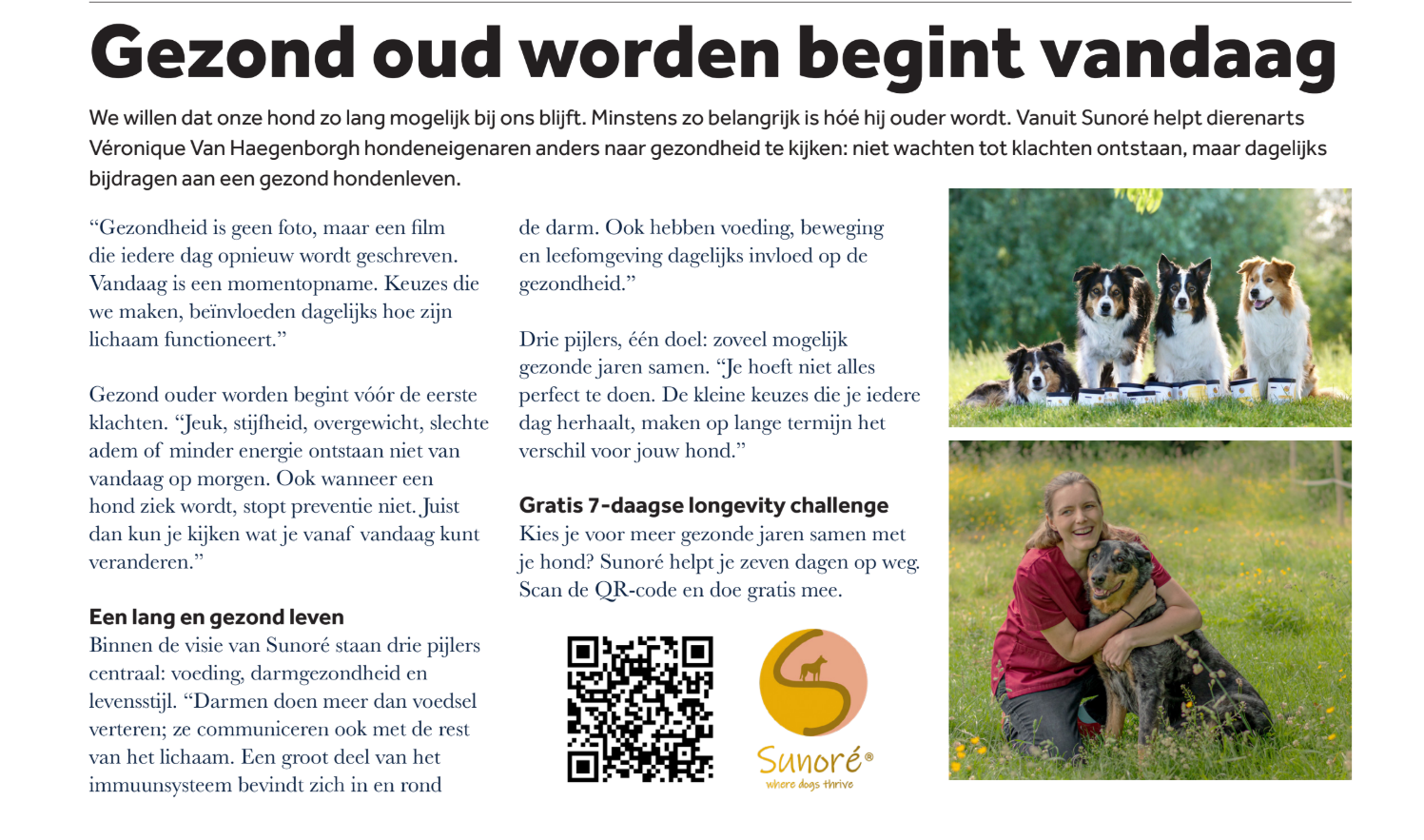 Gespot in Dag Allemaal - De visie van dierenarts Véronique Van Haegenborgh van Sunoré op gezond oud worden bij honden
