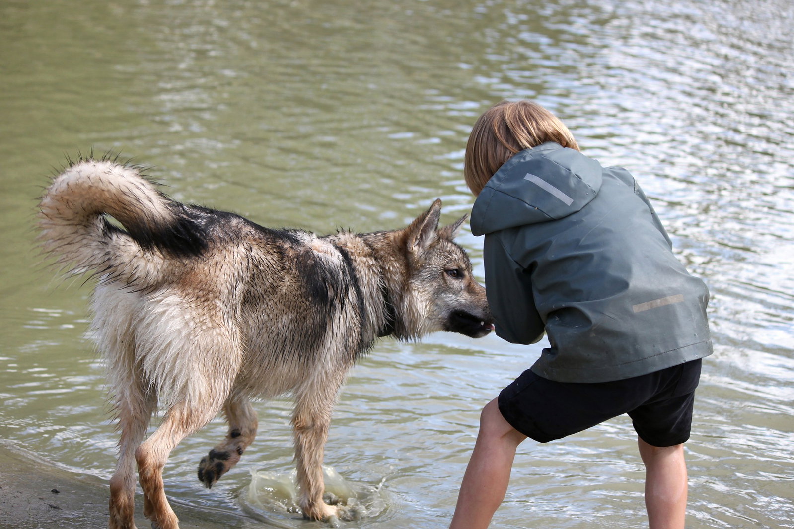 Samen ontdekken met hond